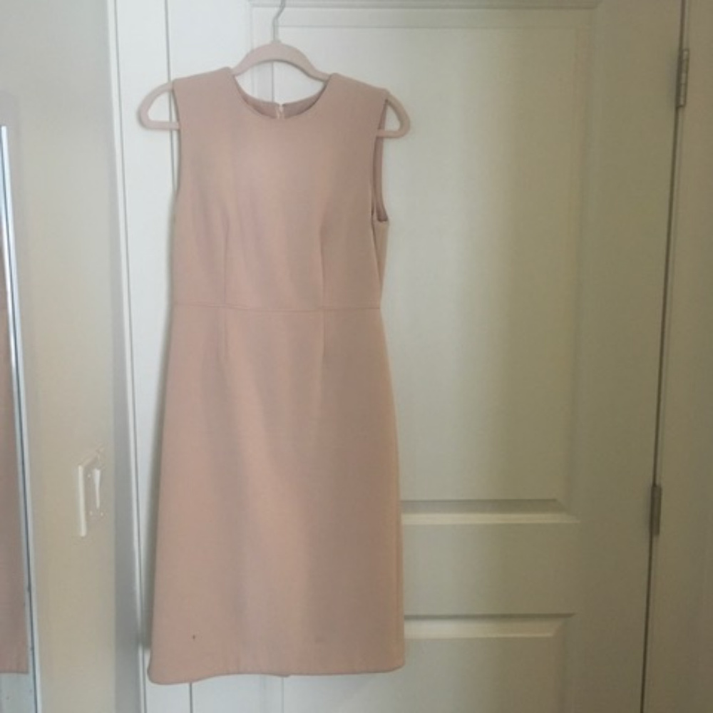 Ann Taylor Work Dress Blush Color